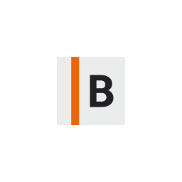 Bloomsbury Institute logo